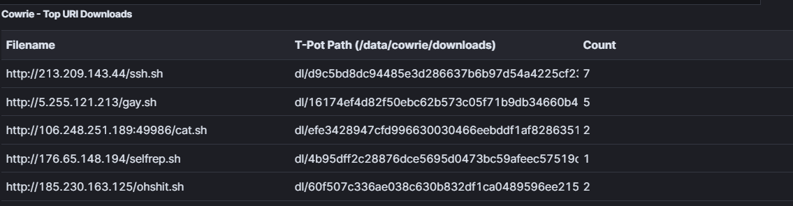 Malicious URI Examples
